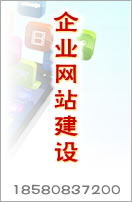 企業(yè)網(wǎng)站建設