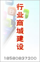 行業(yè)商城建設