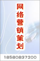 網(wǎng)絡營銷策劃